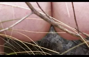 XXX बड़े स्तन सेक्स वीडियो