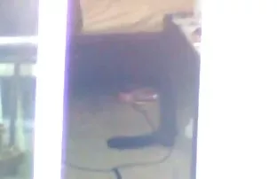 XXX जंगल में नौजवानों का क्रूर बलात्कार